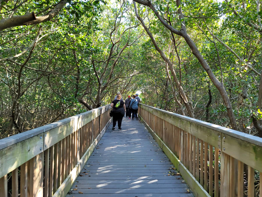 Weedon Island Preserve Cultural and Natural History Center – photo 5